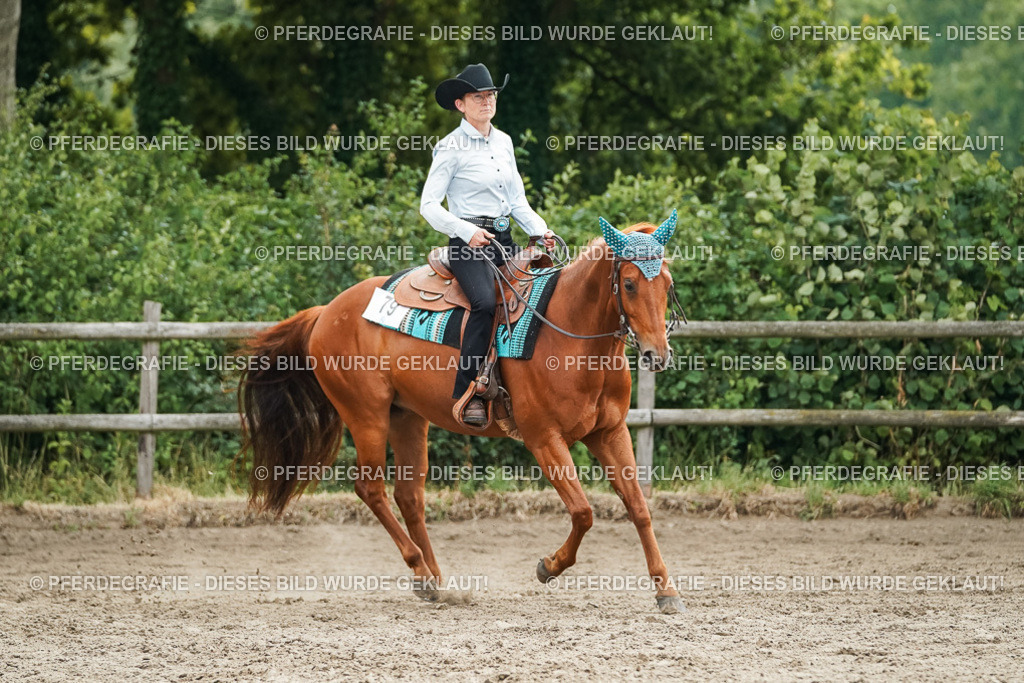 DSC03832 | Pferdegrafie