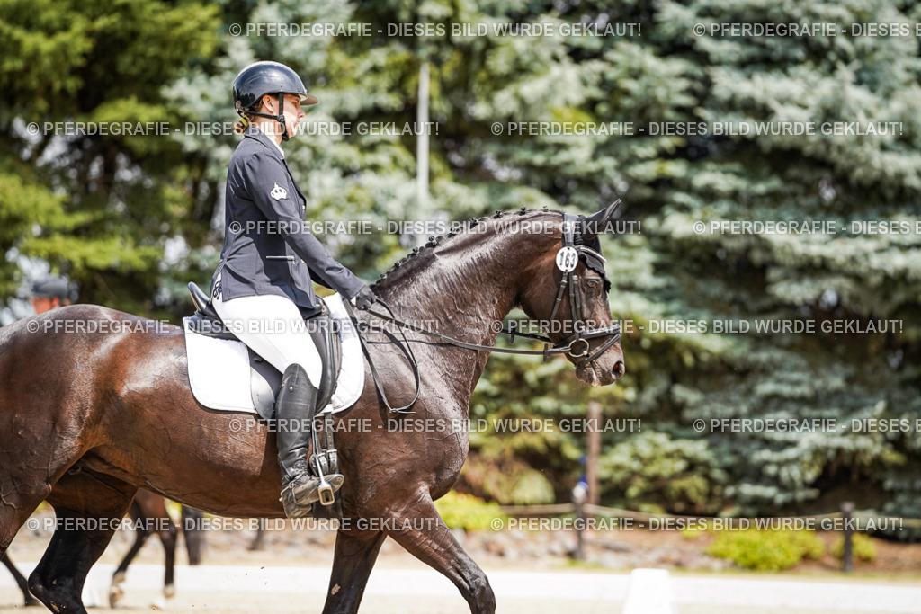 DSC02573 | Pferdegrafie