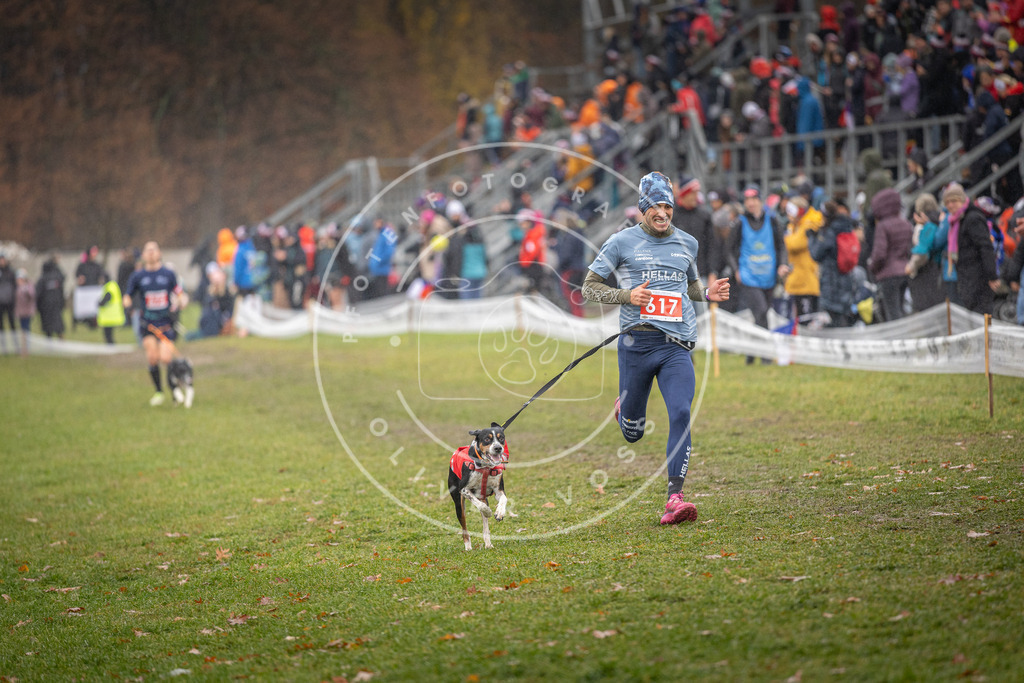 CaniXpix_DV3A0012 | Hundefotografie, Tierfotograf, Pfotenfotografie, Fotoshooting Hund, Hunde Portrait, Hundesport, Hundeportraits, Heideshooting, Hunde, Sportfotograf, Hundefotograf, Turnierhundsport, THS,  - Realisiert mit Pictrs.com