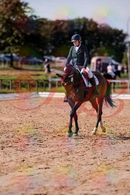 2026_10_03_Siefer-Hof_125856_Z81_49867127 | Professionelle Reitsport-, Turnier- und Eventfotografie von Robert Broda. Galerien mit ausgewählten und bearbeiteten Bildern direkt online ansehen und bestellen.