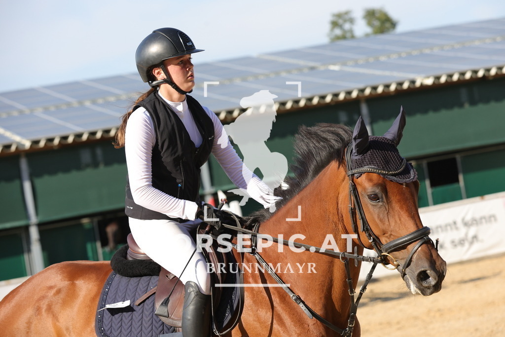 0P6A2080 | Willkommen bei Brunnmayr - Design & Fotografie – Ihrem Spezialisten für Reitturniere und Pferdeveranstaltungen in Oberösterreich, Salzburg und Bayern! Seit über 17 Jahren sind wir leidenschaftlich dabei.