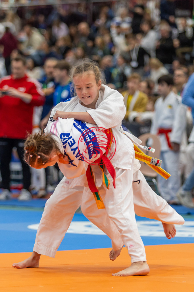 Internationaler Adler Cup 2024 | Foto vom Internationalen Adler Cup Judo Turnier im Sport- und Freizeitzentrum Kalbach im Oktober 2024 - Realisiert mit Pictrs.com