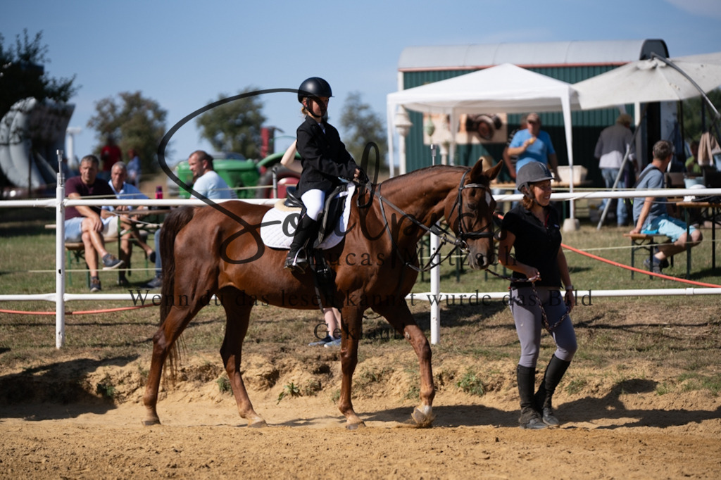 A7V02399 | Pferdefotograf