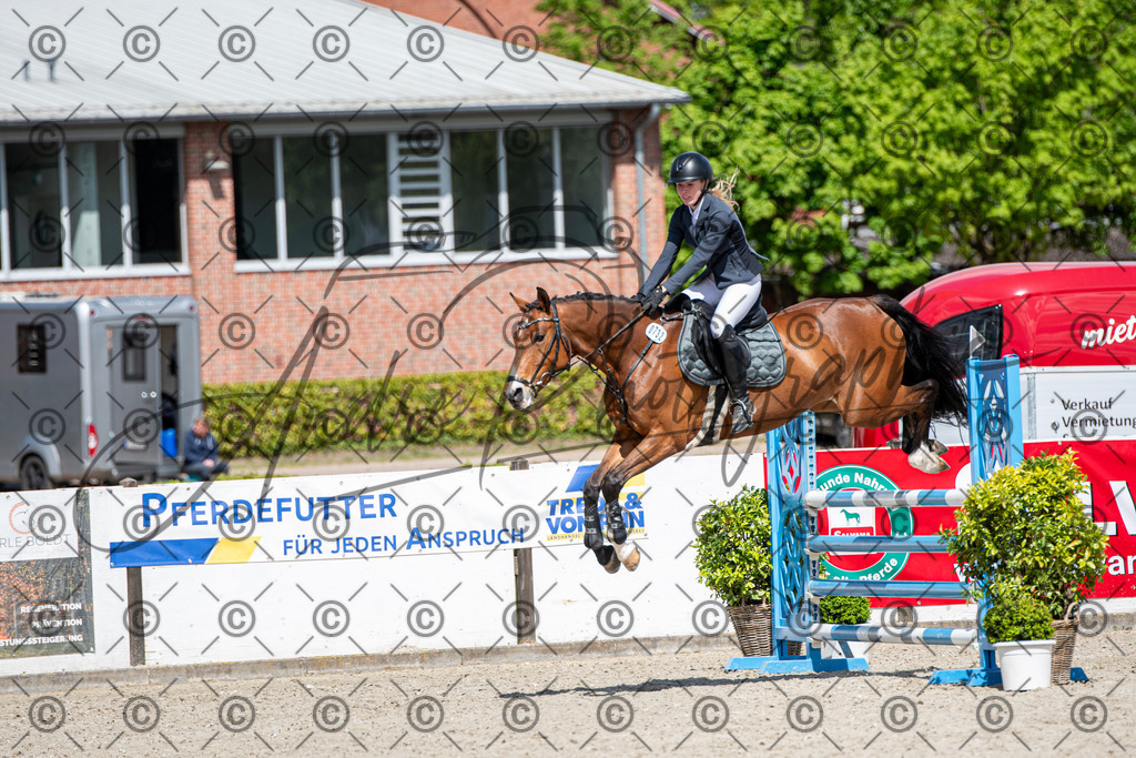 KPT_5178 | andre_photographic