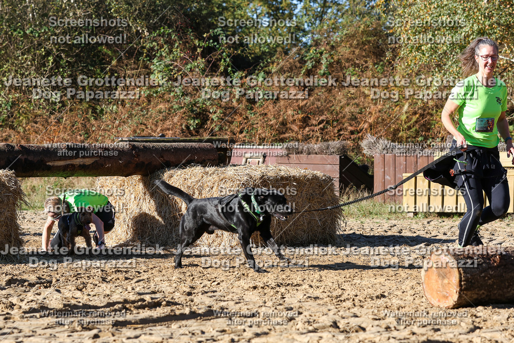 Dog Paparazzi - Strongdog 10-25-2074 | Dog Paparazzi Jeanette Grottendiek Fotografie & Videografie - Realisiert mit Pictrs.com