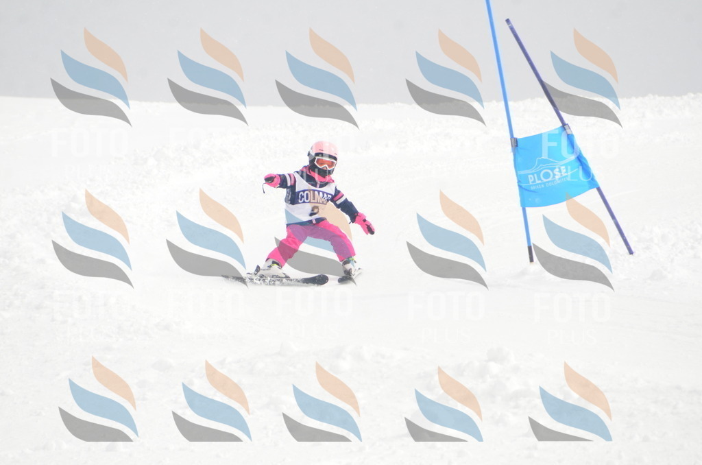 A4991 | holidayphoto