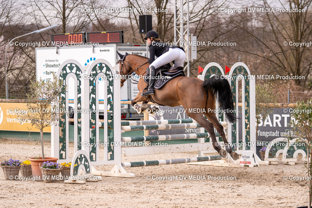 Kranichstein Tag 2-1312 | dv-media-shop - Realisiert mit Pictrs.com