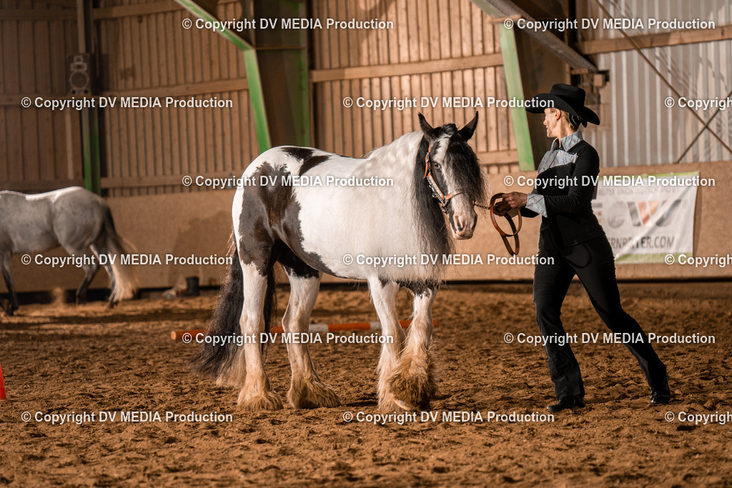 BAL01284 | dv-media-shop - Realisiert mit Pictrs.com