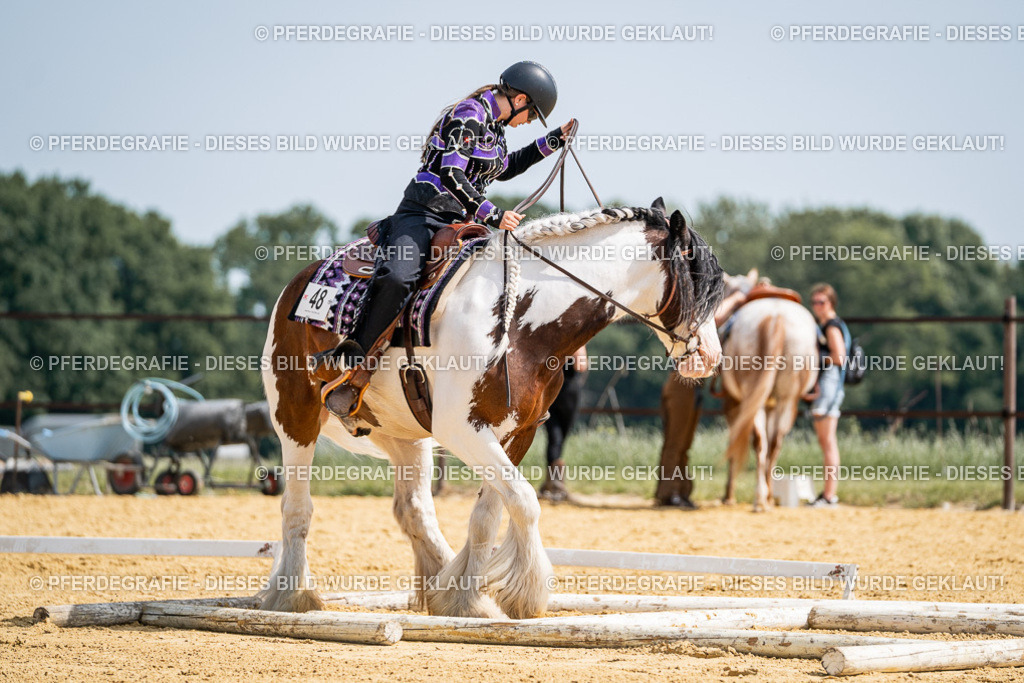 DSC00049 | Pferdegrafie