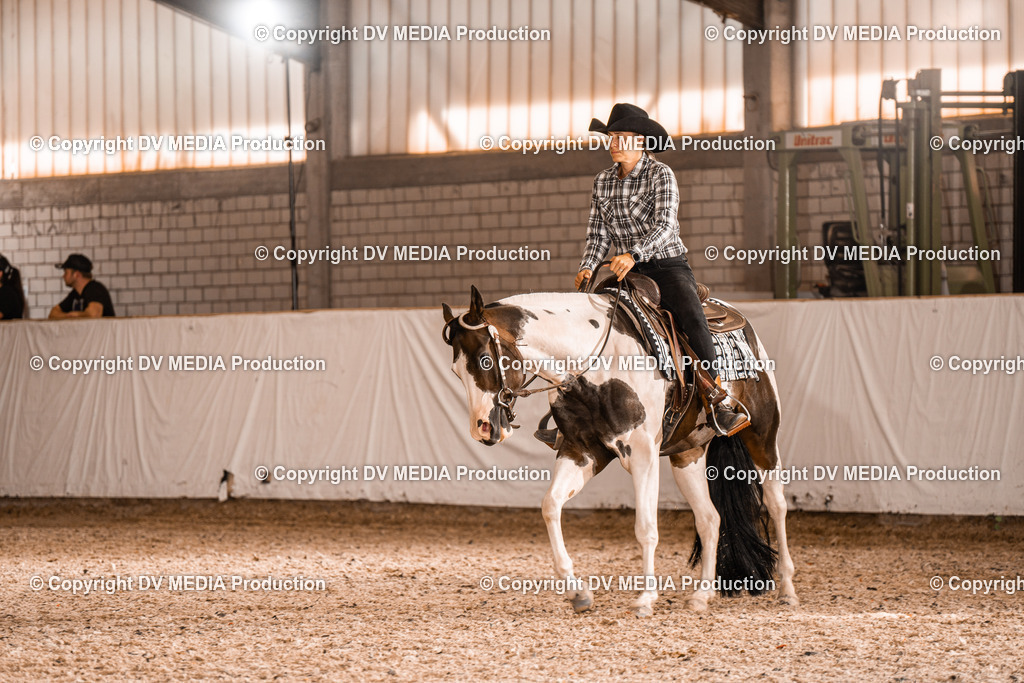 ZH100411 | dv-media-shop - Realisiert mit Pictrs.com