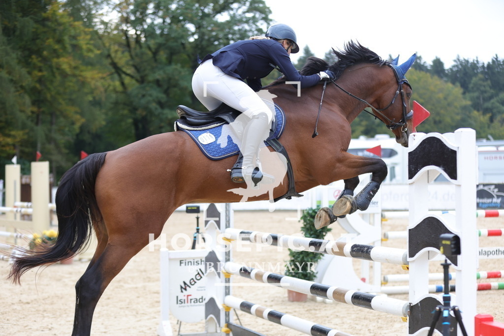 0P6A3801 | Willkommen bei Brunnmayr - Design & Fotografie – Ihrem Spezialisten für Reitturniere und Pferdeveranstaltungen in Oberösterreich, Salzburg und Bayern! Seit über 17 Jahren sind wir leidenschaftlich dabei.