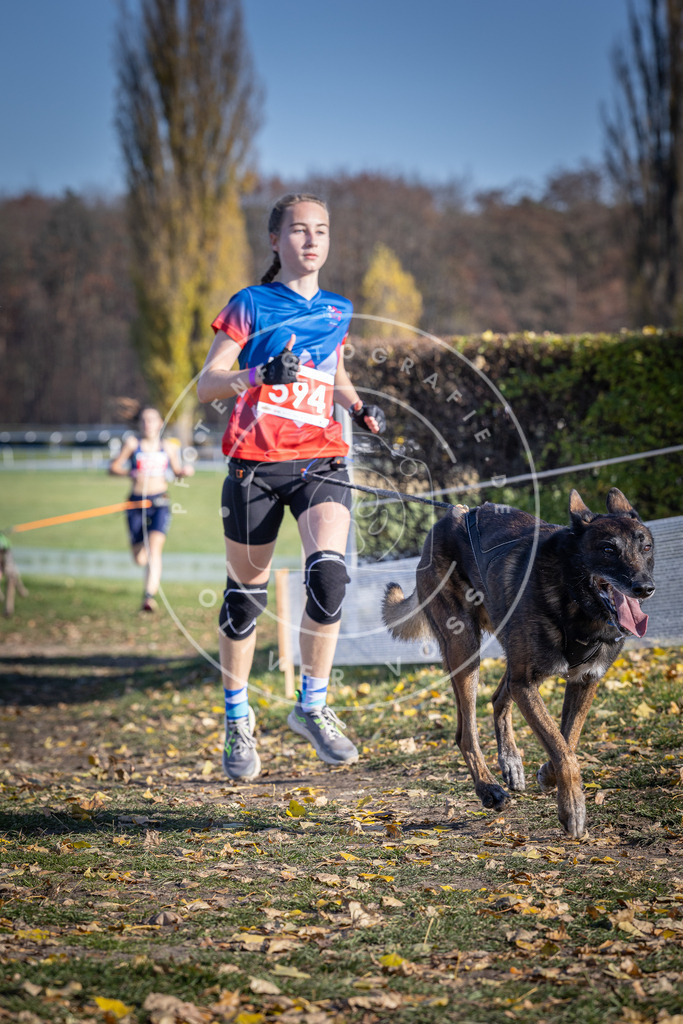 CaniXpix_DV3A9350 | Hundefotografie, Tierfotograf, Pfotenfotografie, Fotoshooting Hund, Hunde Portrait, Hundesport, Hundeportraits, Heideshooting, Hunde, Sportfotograf, Hundefotograf, Turnierhundsport, THS,  - Realisiert mit Pictrs.com