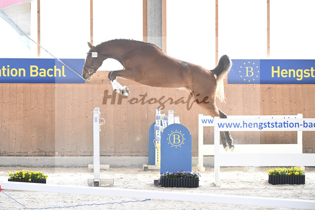 Kat-Nr. 14 Ehawee v. Colestus_Fischer_5250135 | hf-fotografie - Realisiert mit Pictrs.com