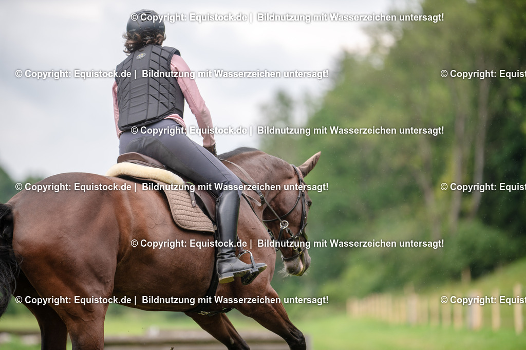 20250725_Vielseitigkeitslehrgang-Marbach_0382 | Foto: Thomas Hartig