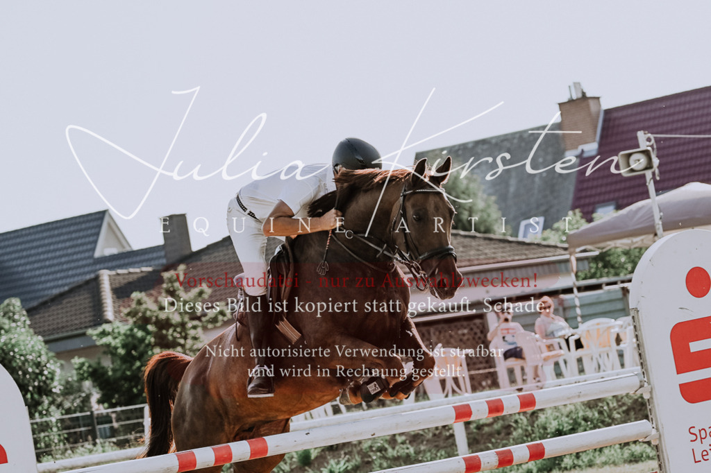 DSC_2752 | Pferde- und Turnierfotografie in Westsachsen. Pferdeportraits, Auftragszeichnungen und intuitive Kunst.