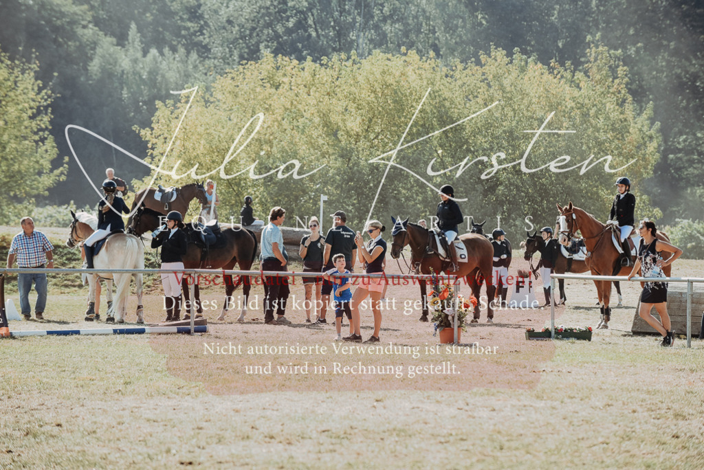 DSC_5951 | Pferde- und Turnierfotografie in Westsachsen. Pferdeportraits, Auftragszeichnungen und intuitive Kunst.