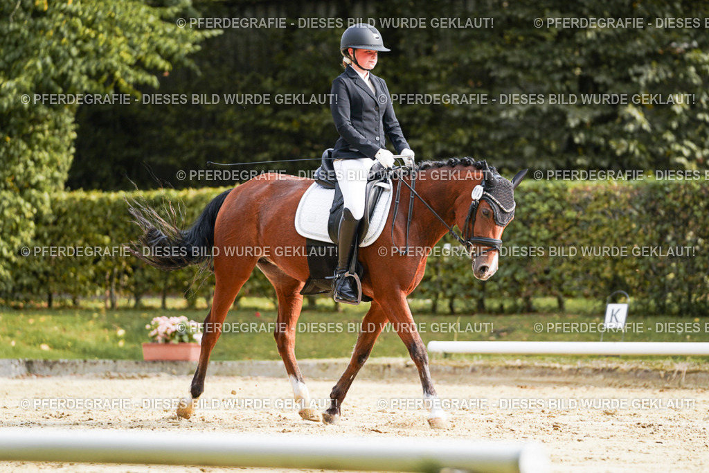 DSC04497 | Pferdegrafie