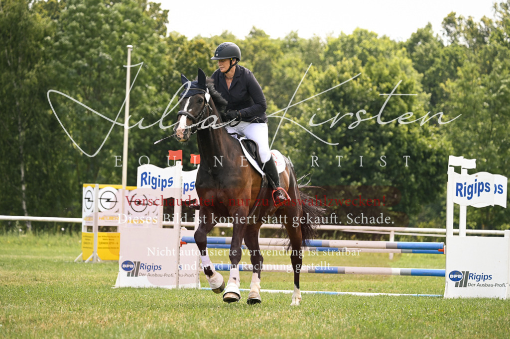 DSC_9104 | Pferde- und Turnierfotografie in Westsachsen. Pferdeportraits, Auftragszeichnungen und intuitive Kunst.