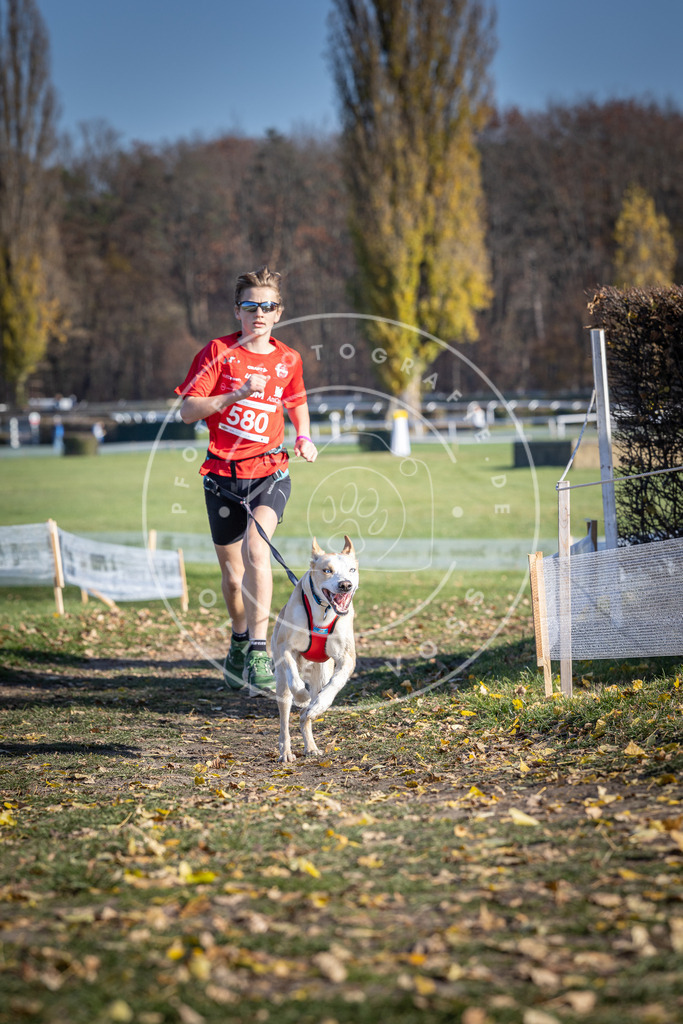 CaniXpix_DV3A9036 | Hundefotografie, Tierfotograf, Pfotenfotografie, Fotoshooting Hund, Hunde Portrait, Hundesport, Hundeportraits, Heideshooting, Hunde, Sportfotograf, Hundefotograf, Turnierhundsport, THS,  - Realisiert mit Pictrs.com