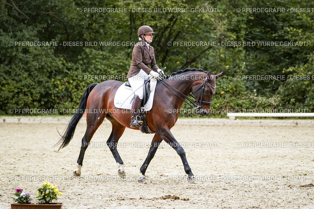 DSC01018 | Pferdegrafie