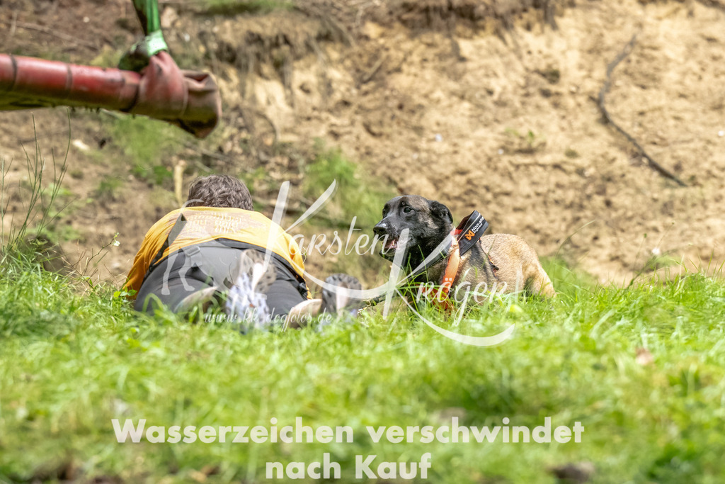 1150_ZZ90768-Bearbeitet | kk-dogfotos