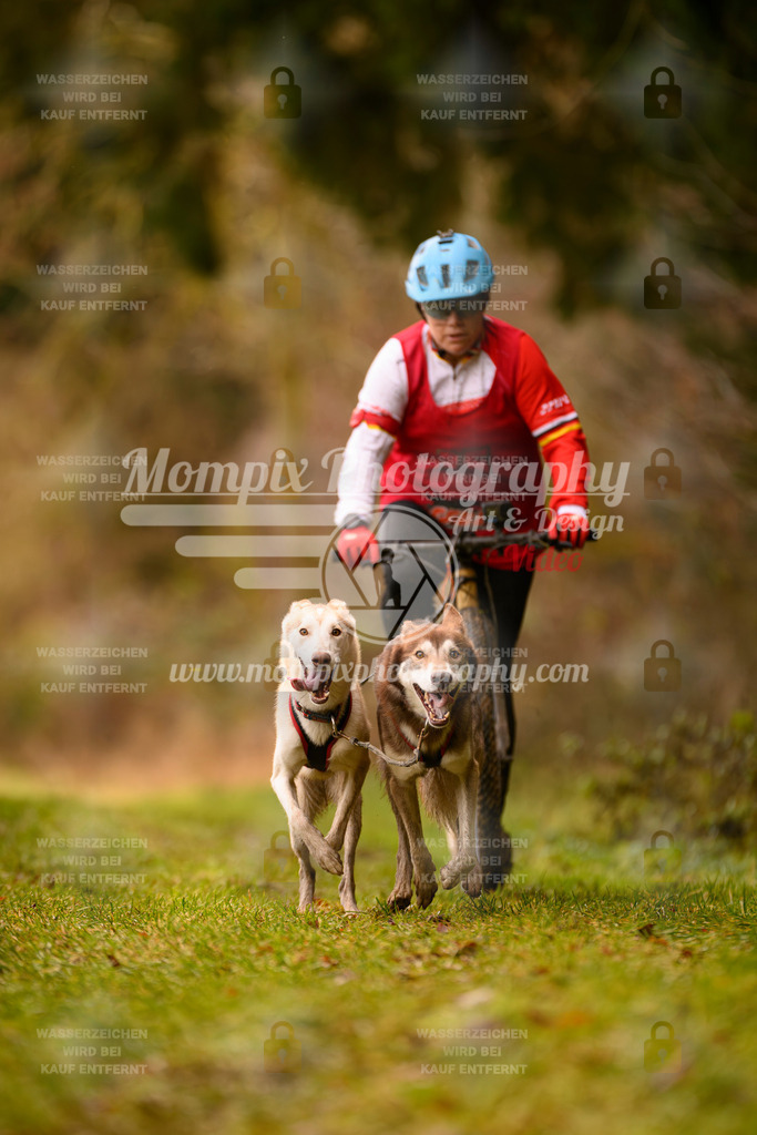 MompixPhotography_2SSTSSBW_2025_SO_Scooter-81 | PayLife