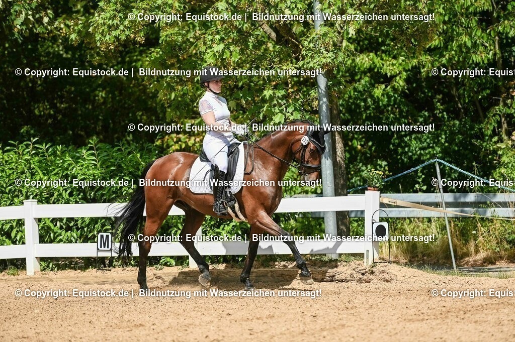 20230715_02_Dressurreiterprüfung Kl.L_0216 | equistock