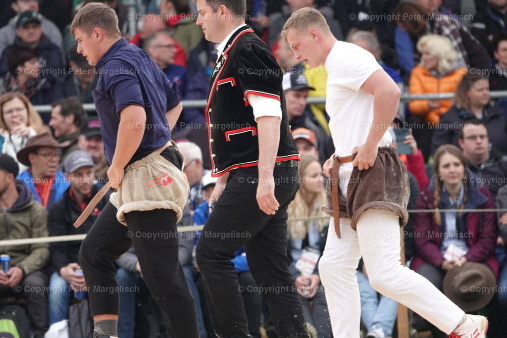 DSC03798 | Schwingen - Realisiert mit Pictrs.com