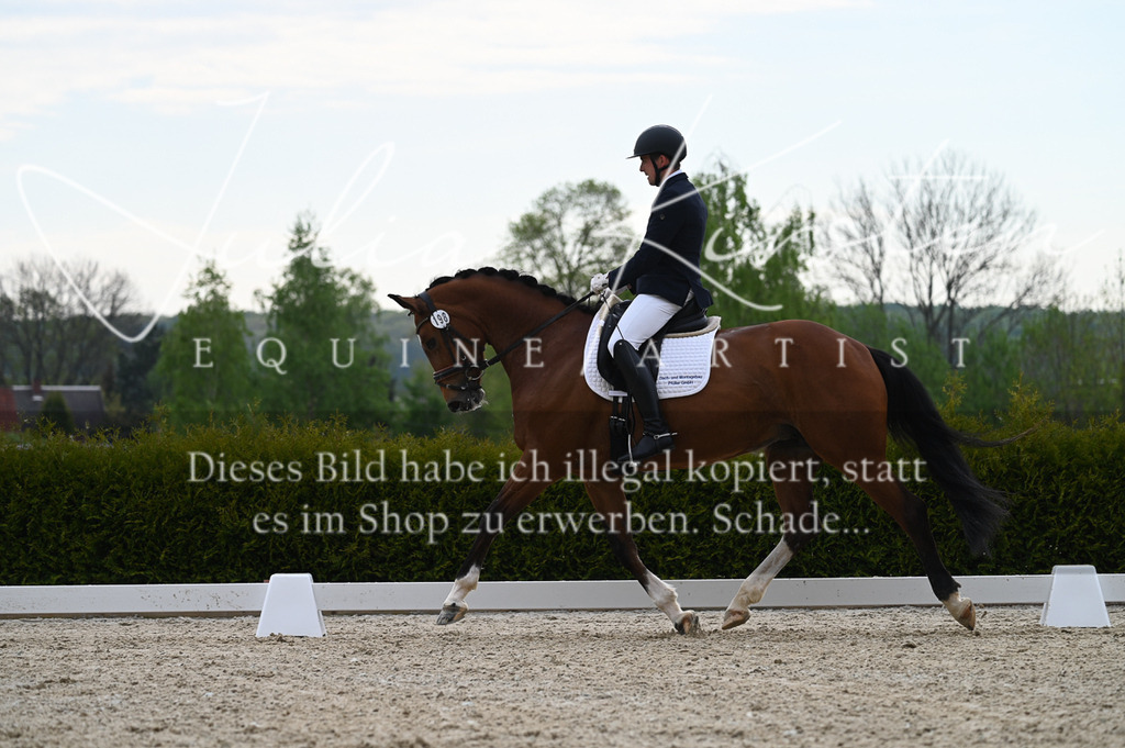 20230512_JK-Röhrsdorf-02-254 | Pferde- und Turnierfotografie in Westsachsen. Pferdeportraits, Auftragszeichnungen und intuitive Kunst.