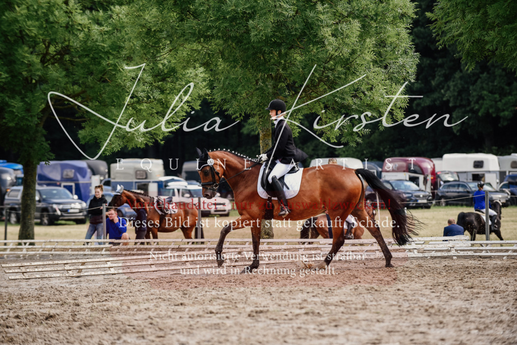 DSC_9766 | Pferde- und Turnierfotografie in Westsachsen. Pferdeportraits, Auftragszeichnungen und intuitive Kunst.