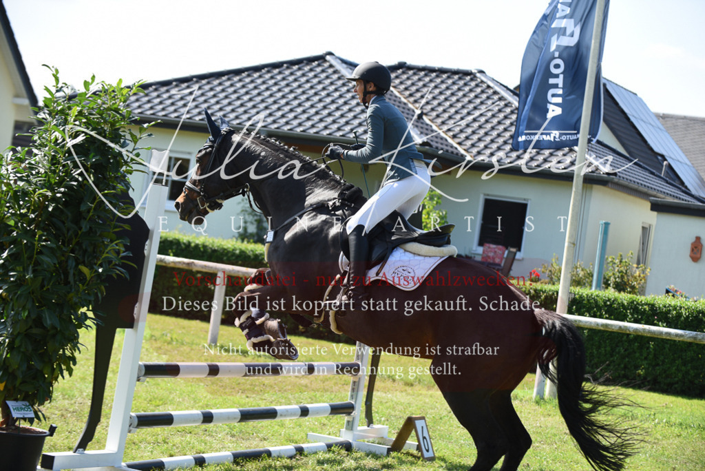 DSC_9205 | Pferde- und Turnierfotografie in Westsachsen. Pferdeportraits, Auftragszeichnungen und intuitive Kunst.