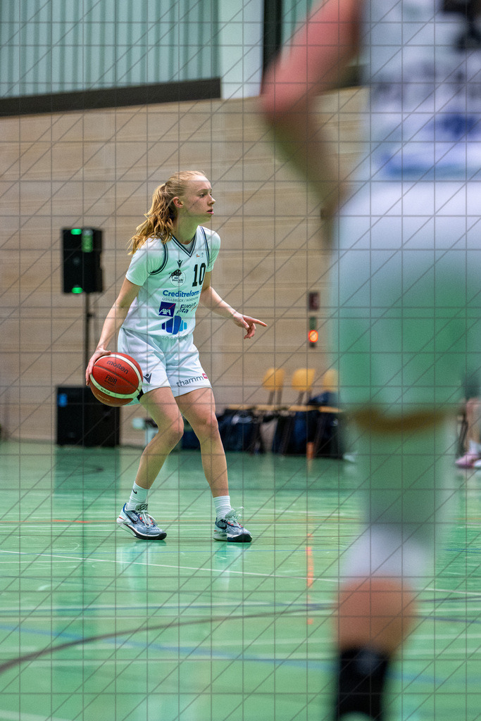 2. DBBL Nord 24/25 | 22.03.2025 | BBC OS vs. LionPride Braunschweig | 2. DBBL Nord 24/25 | 22.03.2025 | BBC OS vs. LionPride Braunschweig - - - - - CREDIT, www.bullenfotos.de, Martin König, Hörner Weg 40, D-49078 Osnabrück, +4917663732967, Nutzung und Weitergabe nur zu den vereinbarten Zwecken. Presseanfragen an Urheber. Alle Rechte beim Urheber. - - - - - - Realisiert mit Pictrs.com
