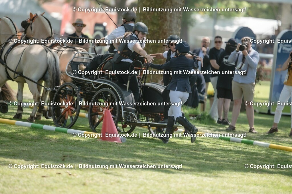 20230528_Jump-and-Drive_0032 | equistock