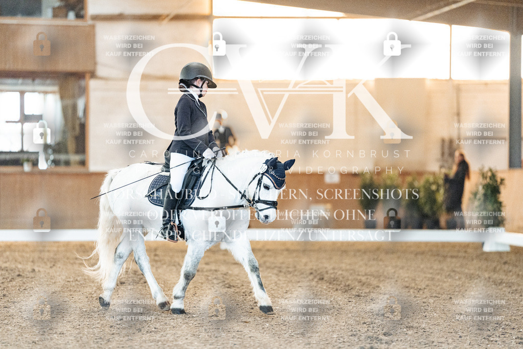 CK906384 | Turnierfotografie Pferdefotografie Trier Rheinland-Pfalz Pferdesport Reitsport Tierfotografie Sportfotografie Pferdevideo Pferdevideografie Equestrianvideography equestrianphotography  - Realisiert mit Pictrs.com