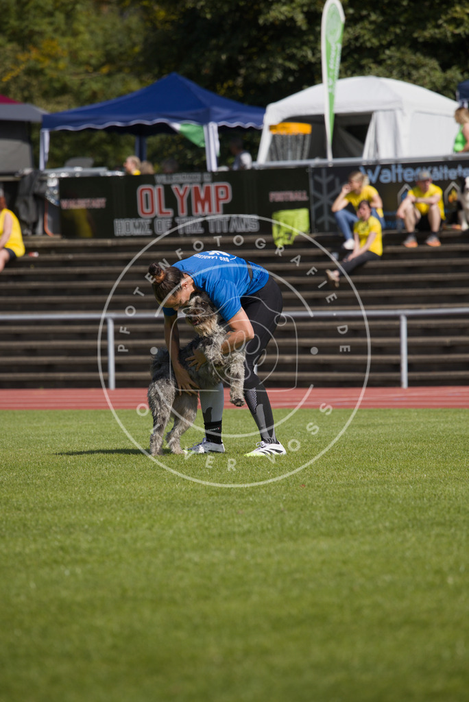 0L8A3246 | Hundefotografie, Tierfotograf, Pfotenfotografie, Fotoshooting Hund, Hunde Portrait, Hundesport, Hundeportraits, Heideshooting, Hunde, Sportfotograf, Hundefotograf, Turnierhundsport, THS,  - Realisiert mit Pictrs.com