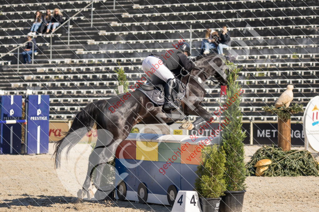 IMG_3358 | Sport-, Event- und Tierfotos in Profiqualität. Einfach auswählen, bestellen und herunterladen. Dein Moment – perfekt festgehalten.