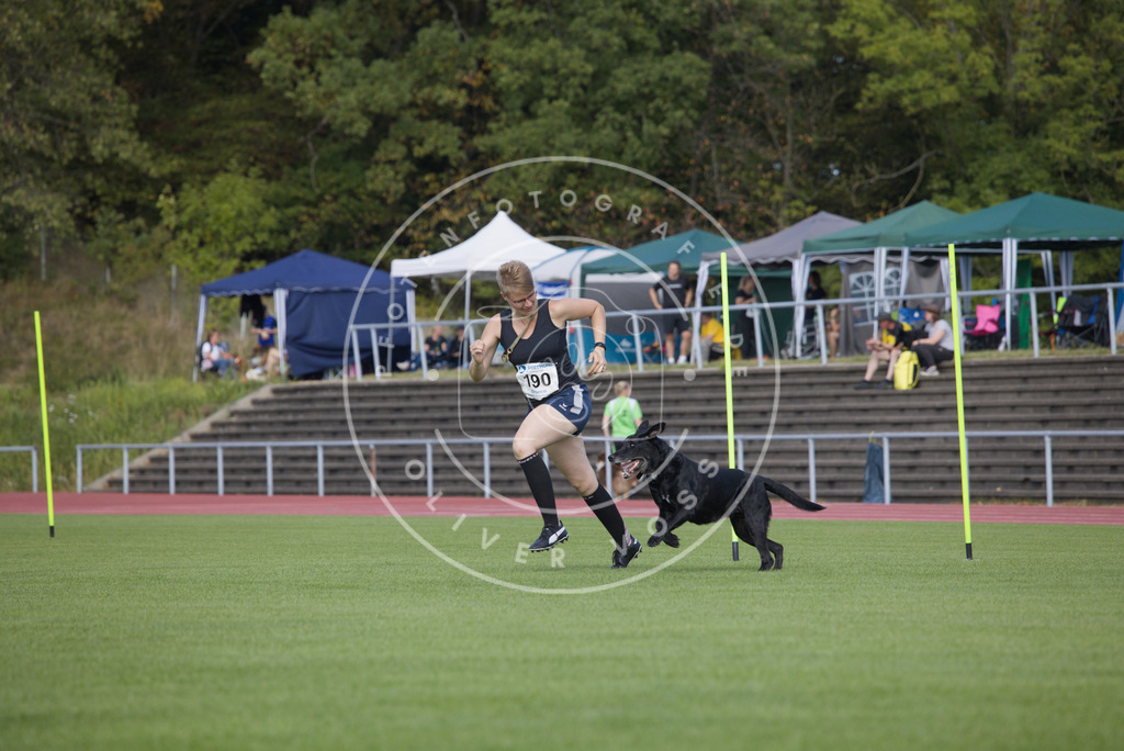 0L8A3415 | Hundefotografie, Tierfotograf, Pfotenfotografie, Fotoshooting Hund, Hunde Portrait, Hundesport, Hundeportraits, Heideshooting, Hunde, Sportfotograf, Hundefotograf, Turnierhundsport, THS,  - Realisiert mit Pictrs.com