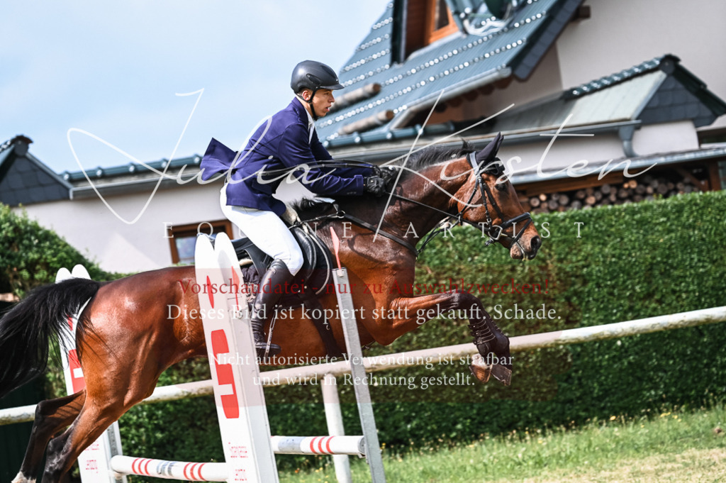 DSC_8407 | Pferde- und Turnierfotografie in Westsachsen. Pferdeportraits, Auftragszeichnungen und intuitive Kunst.