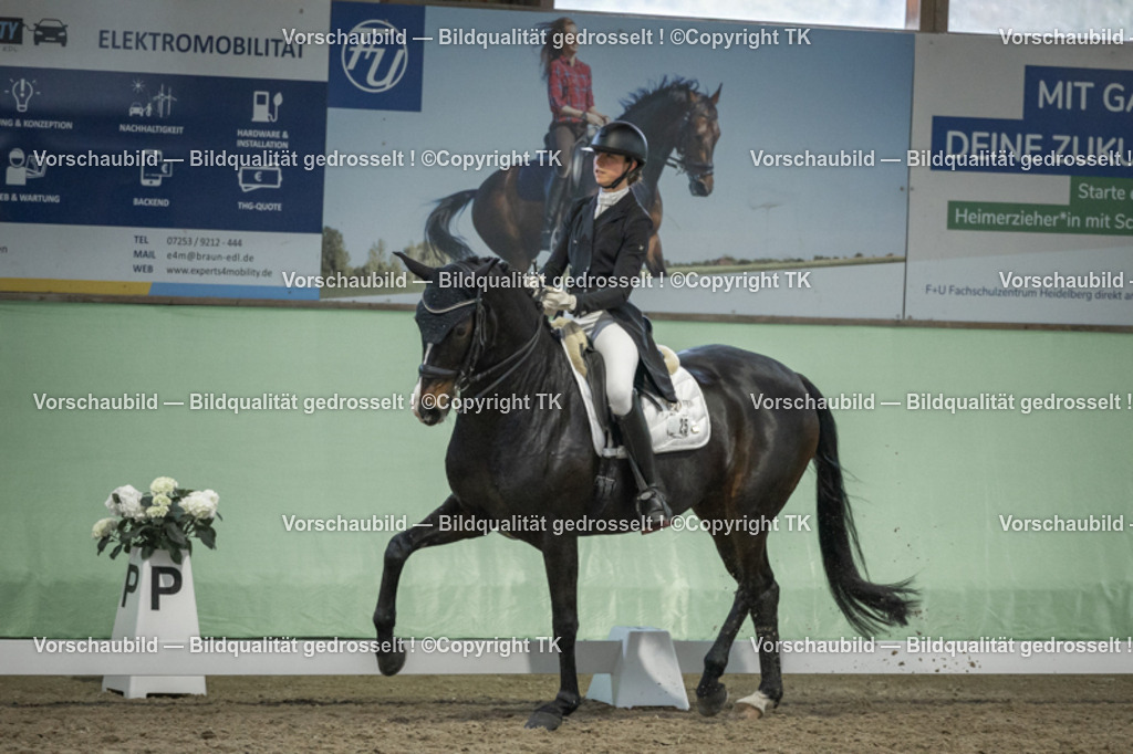 _D5A7012 | Emotionale Pferde- & People-Fotografie rund um Heidelberg, Leimen & Umgebung. Natürliche Fotos von Pferd, Mensch & Familie. Jetzt Termin sichern!