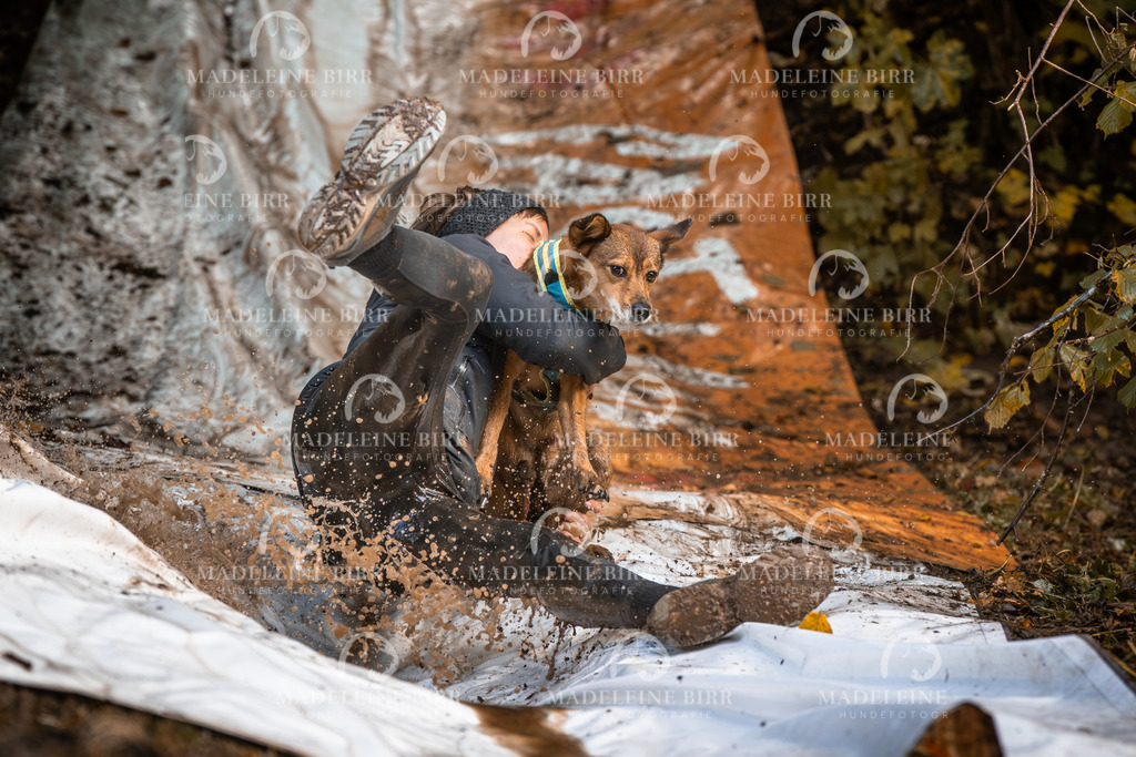 madeleinebirr-fotografie2025.campcanis.sa.15-16Uhr-466 | hundefotografie-birr