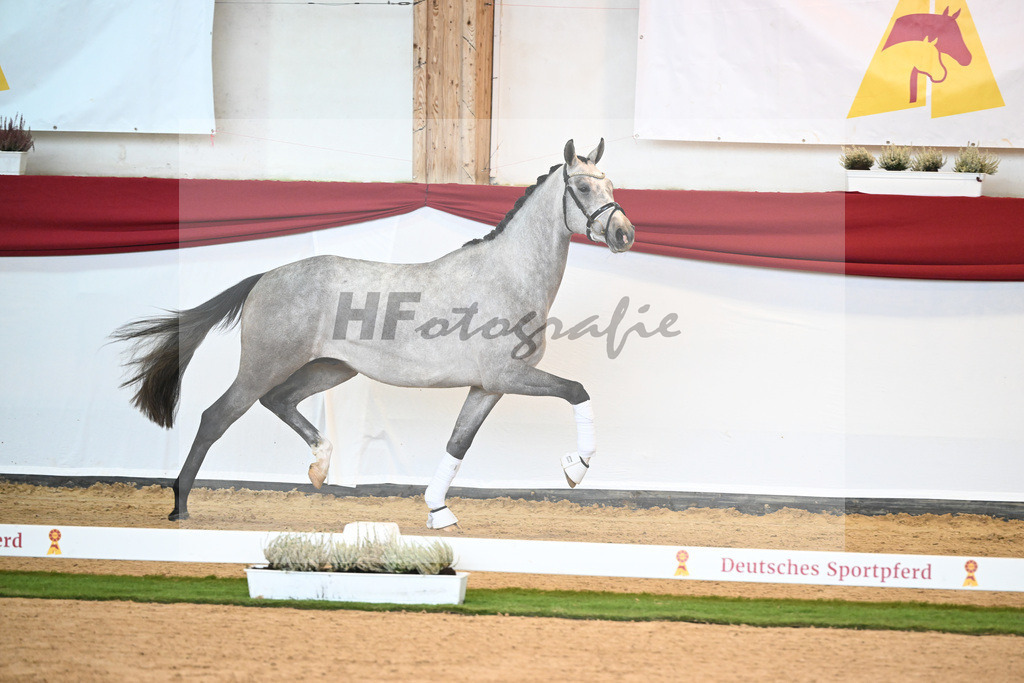 Kat-Nr. 40 Johnson x Benicio_Lehner_47240670 | hf-fotografie - Realizzato con Pictrs.com