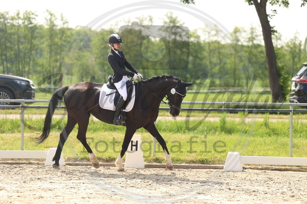 994A6544 | sabrinanicolaifotografie - Realisiert mit Pictrs.com