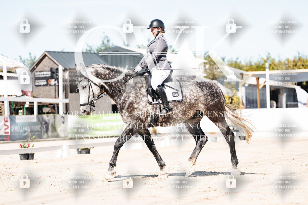 CK908994 | Turnierfotografie Pferdefotografie Trier Rheinland-Pfalz Pferdesport Reitsport Tierfotografie Sportfotografie Pferdevideo Pferdevideografie Equestrianvideography equestrianphotography  - Realisiert mit Pictrs.com