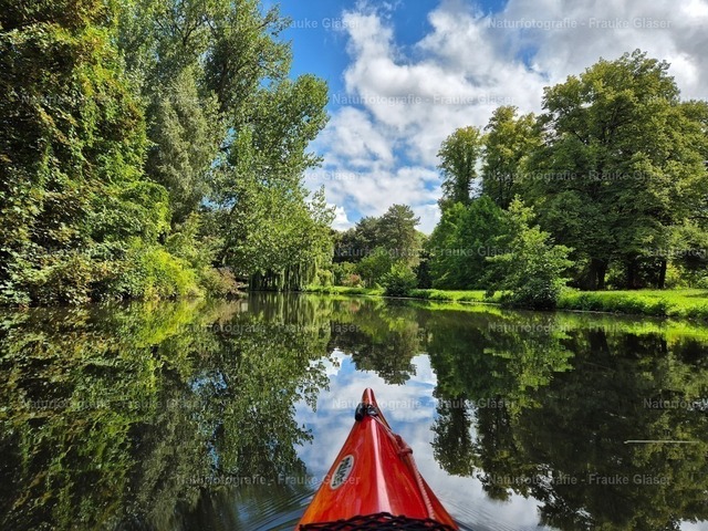 Oker in Braunschweig (5) | Naturfotografie Frauke Gläser - Realisiert mit Pictrs.com
