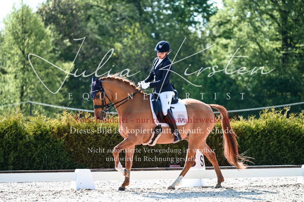 20230513_JK-Röhrsdorf-10-0256 | Pferde- und Turnierfotografie in Westsachsen. Pferdeportraits, Auftragszeichnungen und intuitive Kunst.