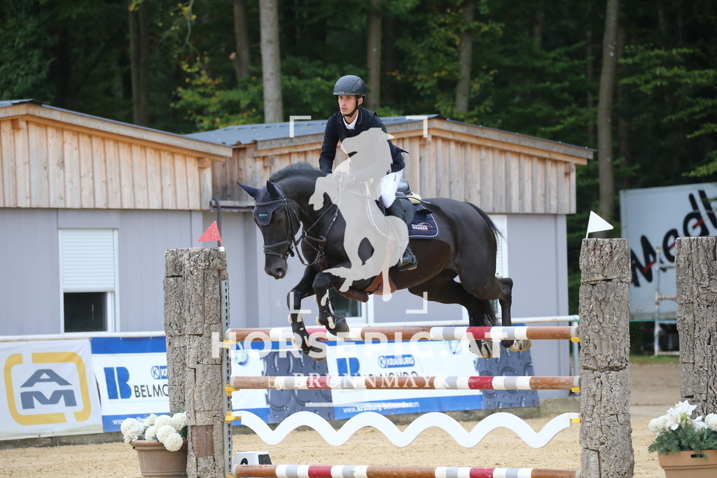 DL2Q1695 | Willkommen bei Brunnmayr - Design & Fotografie – Ihrem Spezialisten für Reitturniere und Pferdeveranstaltungen in Oberösterreich, Salzburg und Bayern! Seit über 17 Jahren sind wir leidenschaftlich dabei.