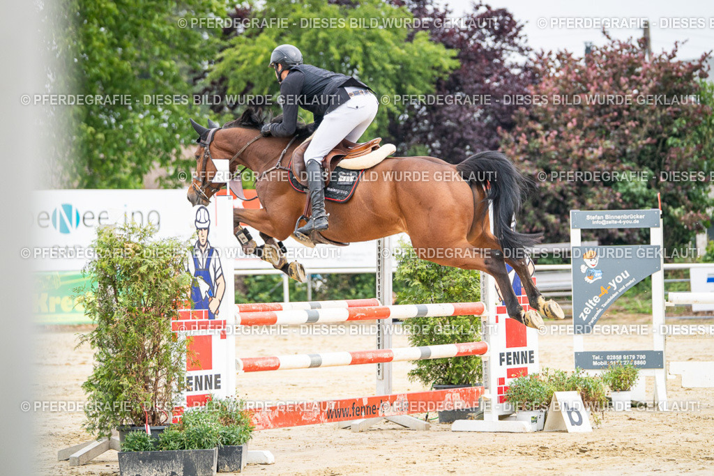 DSC09444 | Pferdegrafie