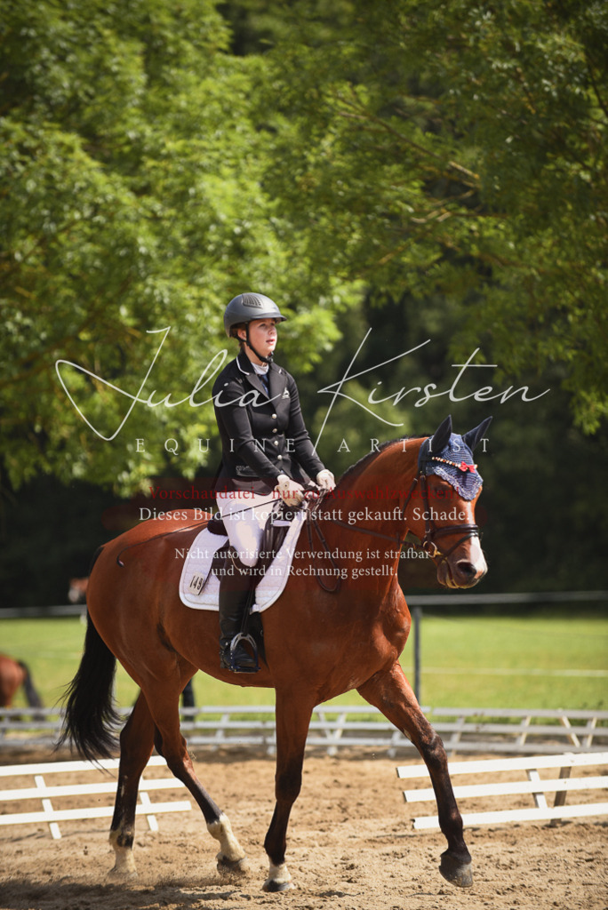 DSC_0747 | Pferde- und Turnierfotografie in Westsachsen. Pferdeportraits, Auftragszeichnungen und intuitive Kunst.