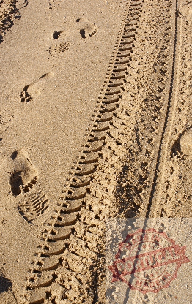 Sand showing combining footprints and tire tracks | Beach sand revealing footprints and tire track impressions, symbolizing travel and individual journey - Realisiert mit Pictrs.com