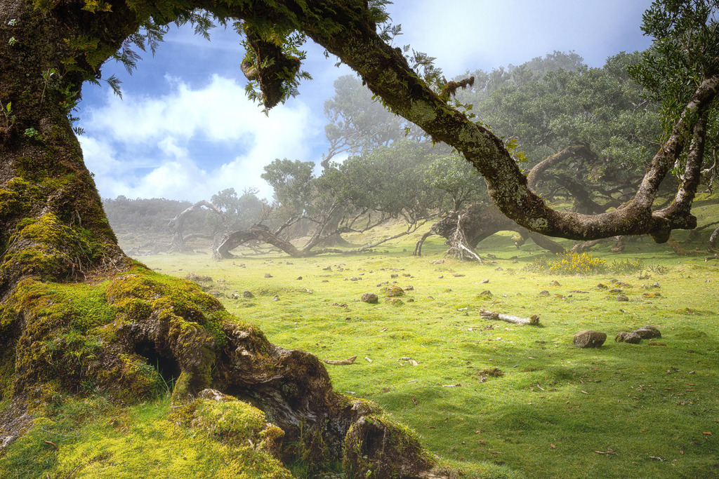 Mystic | Wandbilder - Florian Läufer - Realisiert mit Pictrs.com